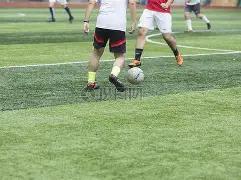 体育平台,资讯,KY体育平台,开云体育,开云体育官网,开云体育app,开云体育平台,KAIYUN,SPORTS,kaiyun登录入口