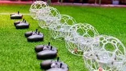 KY体育平台 产品 094300 w6a