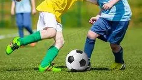 KY体育平台 资讯 111624 8w3